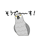鳥ってカワイイね！～bird is kawaii～（個別スタンプ：3）