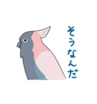 鳥ってカワイイね！～bird is kawaii～（個別スタンプ：12）