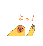 鳥ってカワイイね！～bird is kawaii～（個別スタンプ：30）