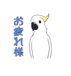 世界の鳥スタンプ（個別スタンプ：31）