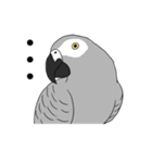 世界の鳥スタンプ（個別スタンプ：39）