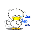 "Zeng" the Duck（個別スタンプ：21）