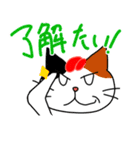 博多の猫とばい！（個別スタンプ：3）