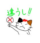 博多の猫とばい！（個別スタンプ：12）