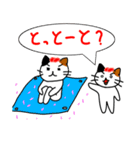 博多の猫とばい！（個別スタンプ：16）