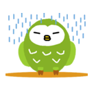 半寝のふく郎（個別スタンプ：13）