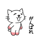桜靴下猫（個別スタンプ：22）
