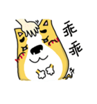 Corgi soul（個別スタンプ：7）