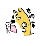 Corgi soul（個別スタンプ：15）