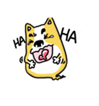 Corgi soul（個別スタンプ：16）