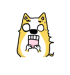 Corgi soul（個別スタンプ：22）