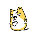 Corgi soul（個別スタンプ：34）