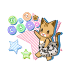 にゃあ太郎スタンプ（個別スタンプ：5）