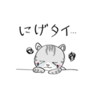 トラ猫 タイちゃん（個別スタンプ：13）