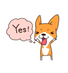 The Corgi BarneyAh's Everyday life（個別スタンプ：3）