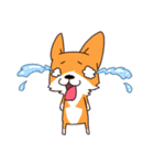 The Corgi BarneyAh's Everyday life（個別スタンプ：17）