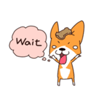 The Corgi BarneyAh's Everyday life（個別スタンプ：27）