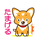 東北弁コーギーさくら（個別スタンプ：5）