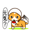 東北弁コーギーさくら（個別スタンプ：13）