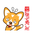 東北弁コーギーさくら（個別スタンプ：20）