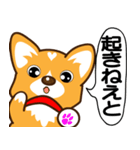 東北弁コーギーさくら（個別スタンプ：22）