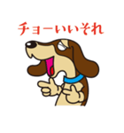 犬種別スタンプ③ ミニチュアダックス（個別スタンプ：40）