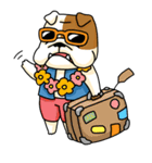 English Bull Dog Brebre ＆ Cola（個別スタンプ：3）