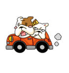 English Bull Dog Brebre ＆ Cola（個別スタンプ：37）