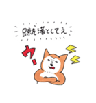 欲望を代弁する柴犬（個別スタンプ：31）