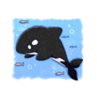 しゃちすた（個別スタンプ：1）