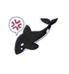 しゃちすた（個別スタンプ：5）