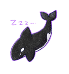 しゃちすた（個別スタンプ：24）