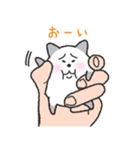 手乗りねこニャーン（個別スタンプ：1）