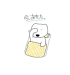 クマッタナ（個別スタンプ：22）