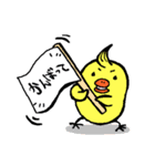 ハロー！ピヨ家族！（個別スタンプ：16）