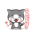 003