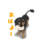 Cute Dachshund！！（個別スタンプ：1）