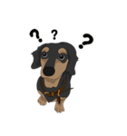 Cute Dachshund！！（個別スタンプ：6）