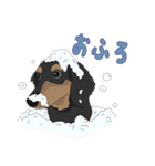 Cute Dachshund！！（個別スタンプ：26）