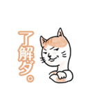 断れない猫たちのスタンプ。（個別スタンプ：26）