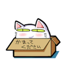 駄猫イズム-日常生活篇-（個別スタンプ：5）