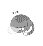 ボンレス猫（個別スタンプ：31）