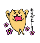 愉快な犬のG太郎（個別スタンプ：11）