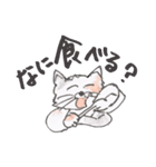 みけねこ★みっけ（個別スタンプ：5）