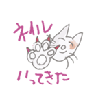 みけねこ★みっけ（個別スタンプ：25）