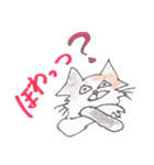 みけねこ★みっけ（個別スタンプ：26）