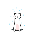 白雪（しろゆき）（個別スタンプ：36）