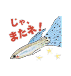 リアル水族館～日常会話～（個別スタンプ：9）