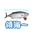 リアル水族館～日常会話～（個別スタンプ：14）