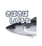 リアル水族館～日常会話～（個別スタンプ：19）